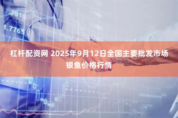 杠杆配资网 2025年9月12日全国主要批发市场银鱼价格行情