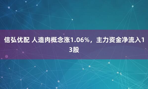 信弘优配 人造肉概念涨1.06%，主力资金净流入13股