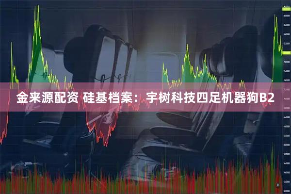 金来源配资 硅基档案：宇树科技四足机器狗B2