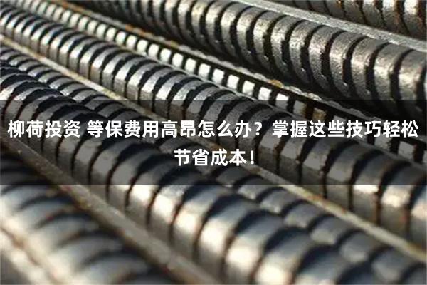 柳荷投资 等保费用高昂怎么办？掌握这些技巧轻松节省成本！